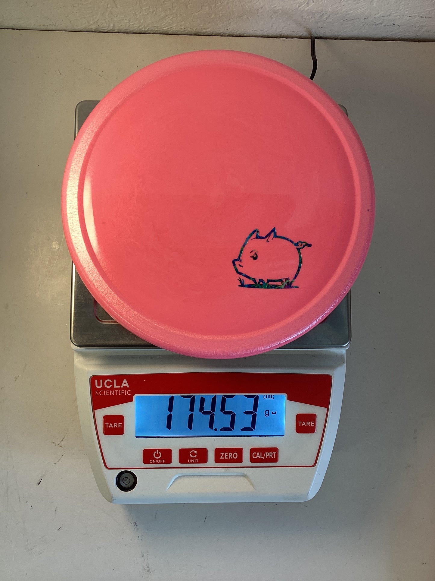 Innova Star Pig
