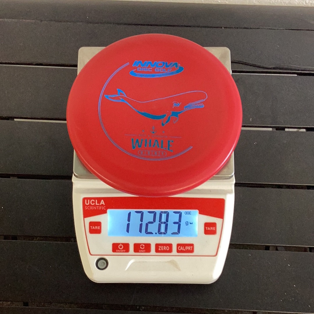 Innova DX Whale