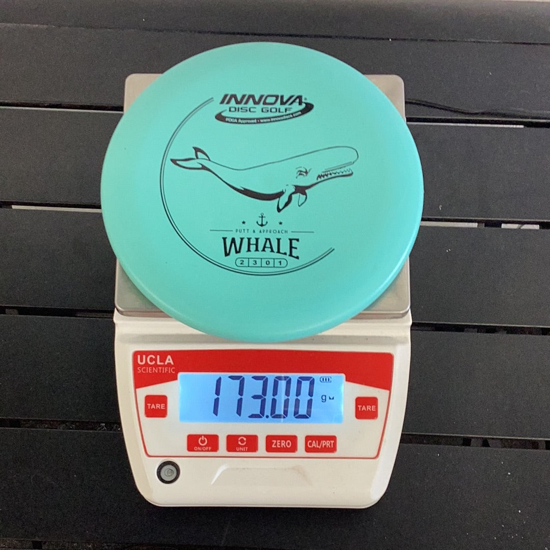 Innova DX Whale