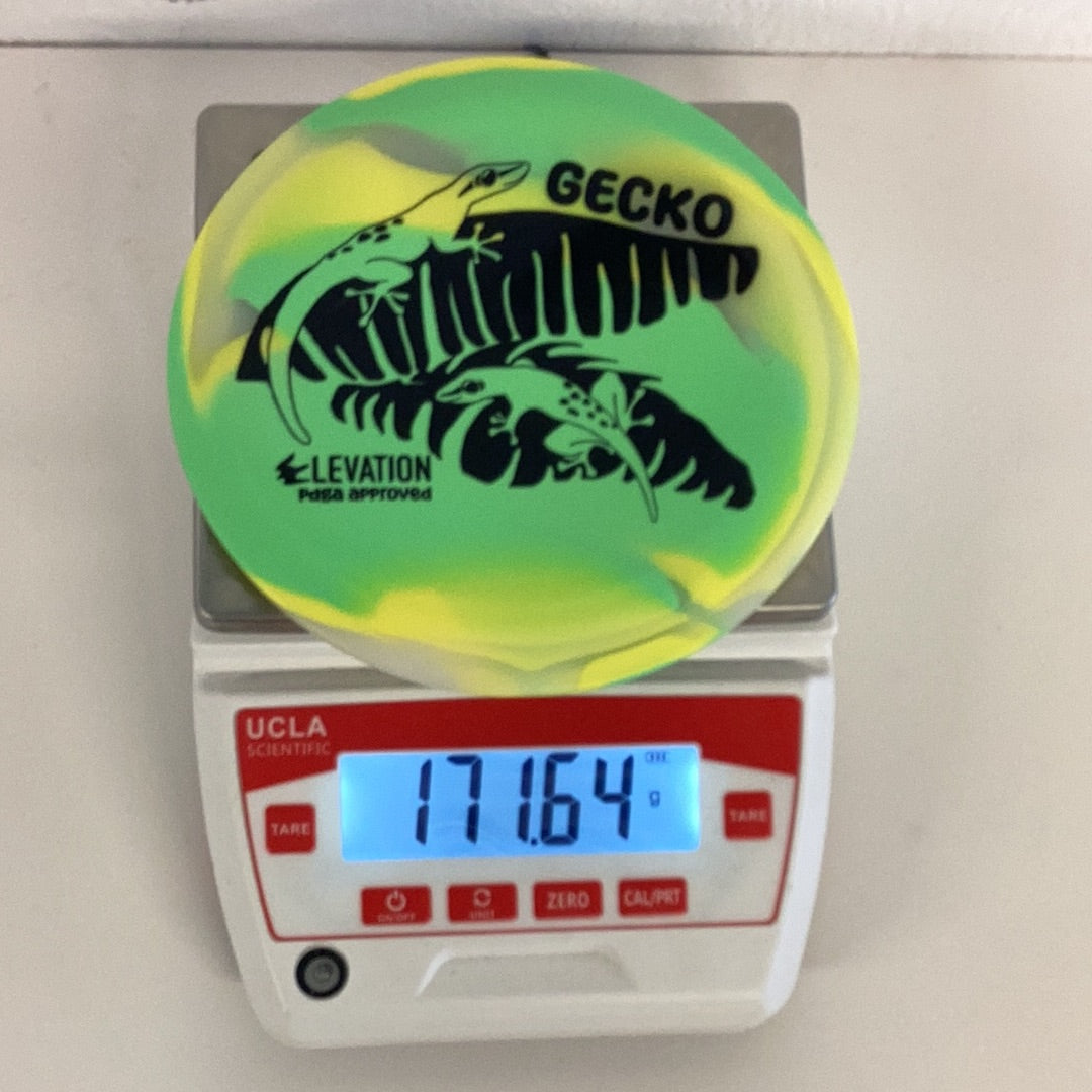 Elevation glO-G Gecko
