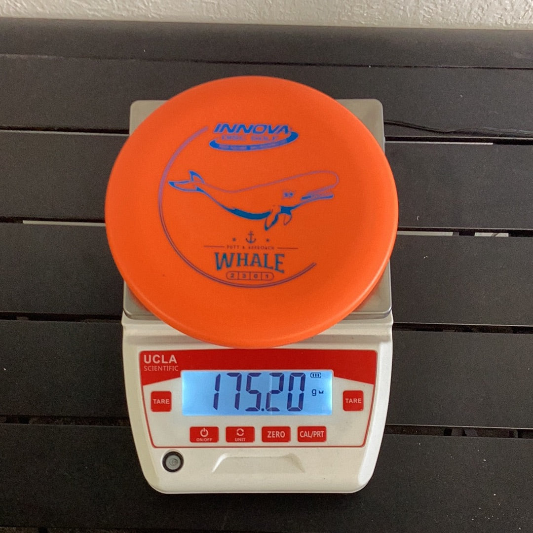 Innova DX Whale