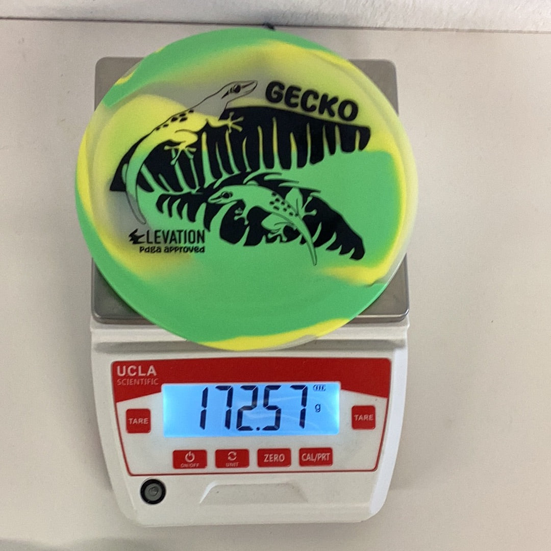 Elevation glO-G Gecko