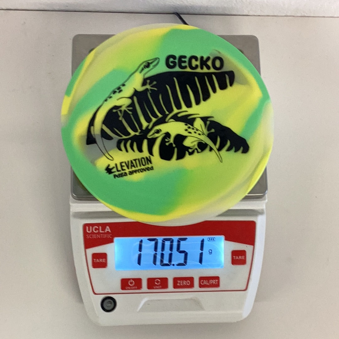 Elevation glO-G Gecko
