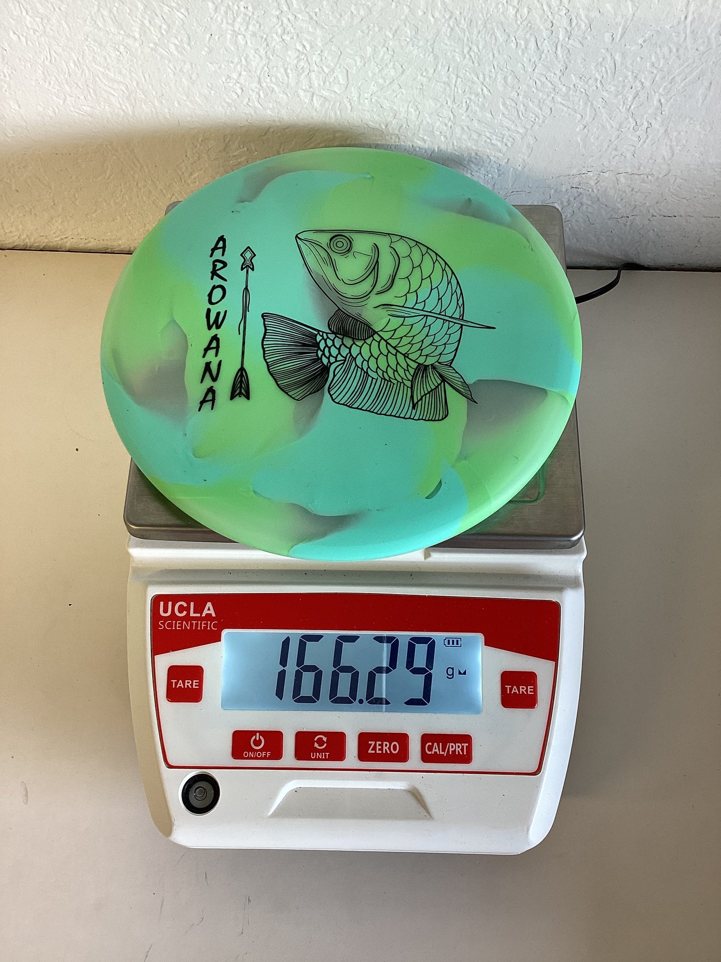 Elevation gLO-G Arowana