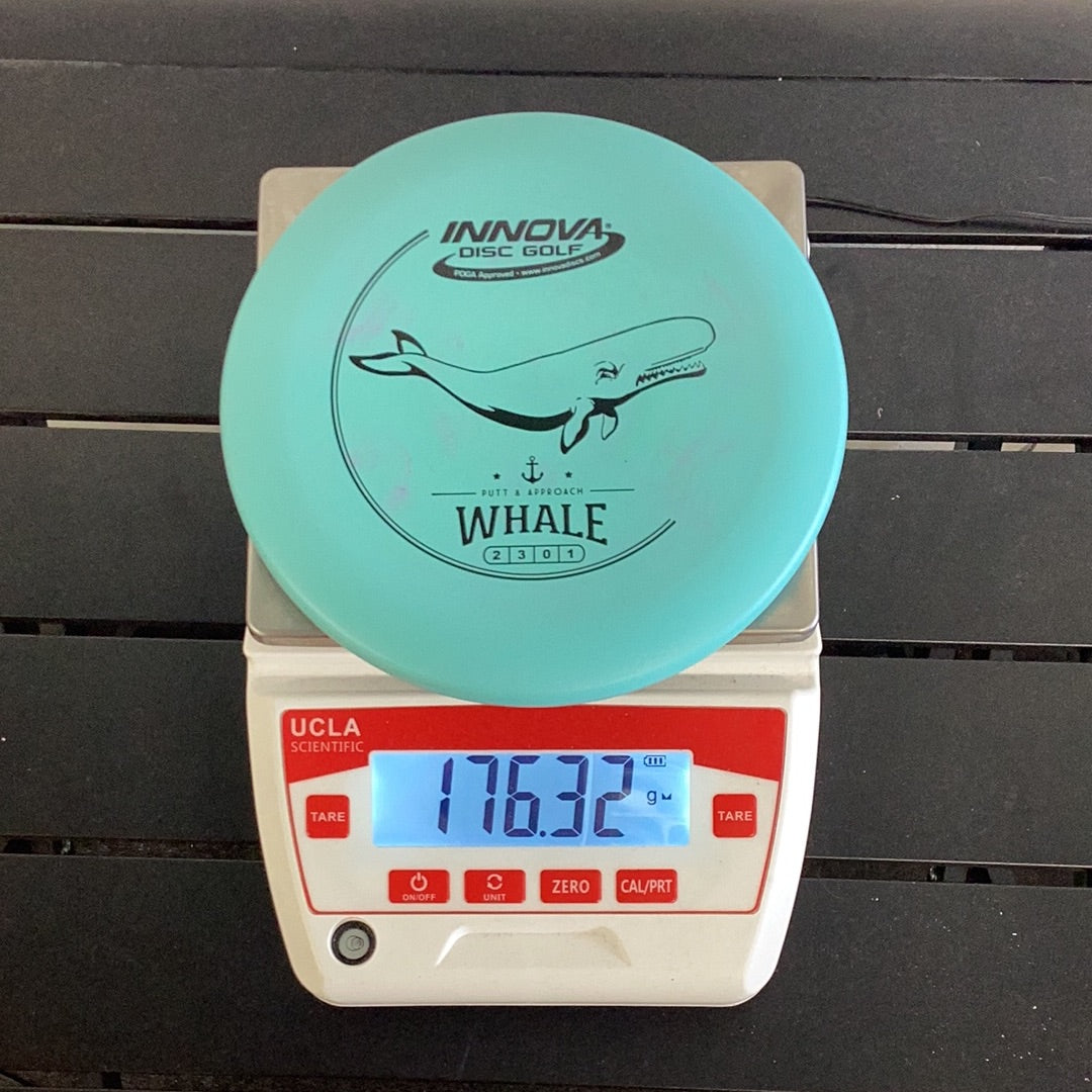 Innova DX Whale