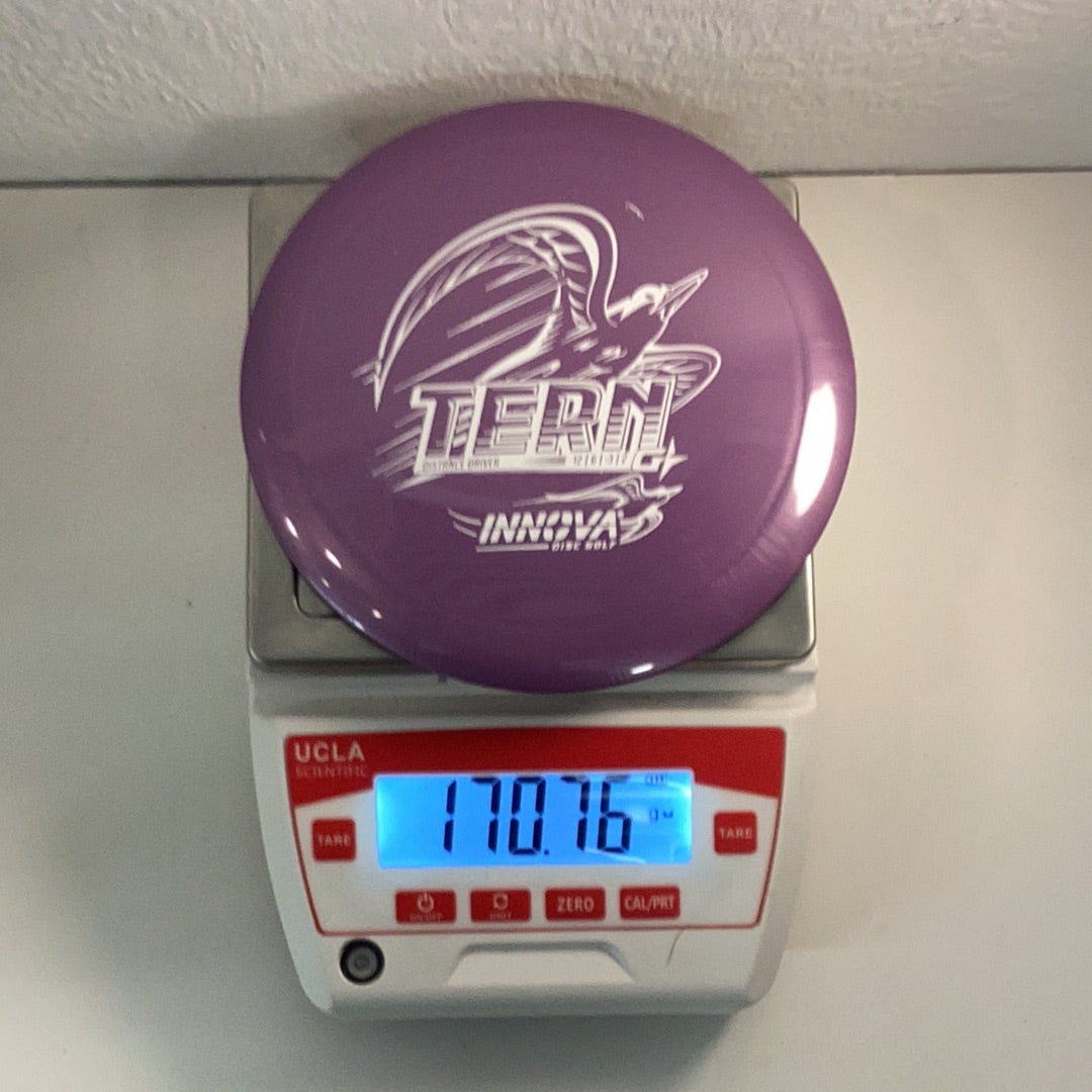 Innova GStar Tern