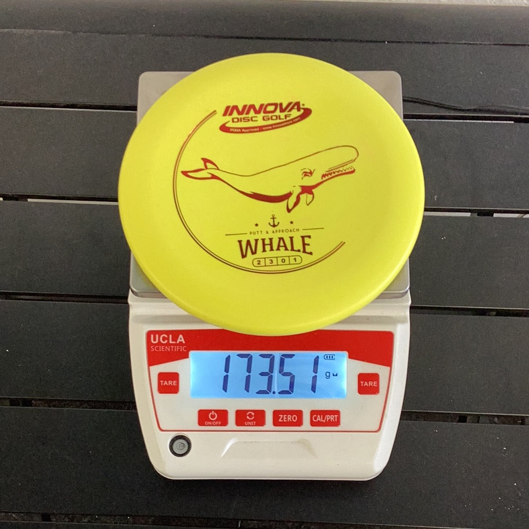 Innova DX Whale