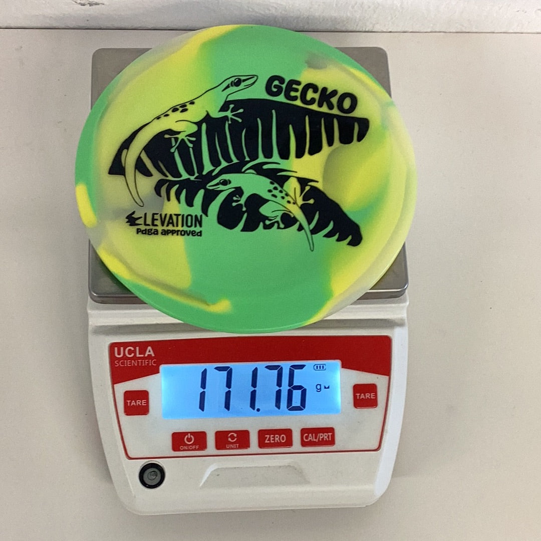 Elevation glO-G Gecko