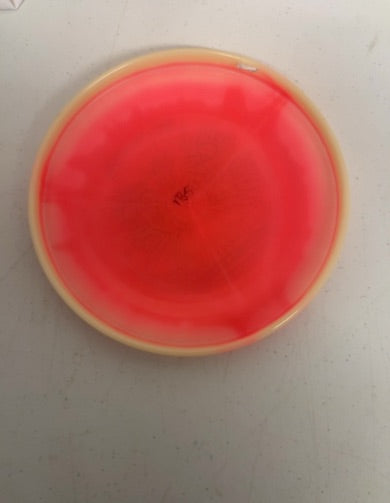 Innova-Glow Halo Champion-Sonic-Pink-173.47g PRE-OWNED