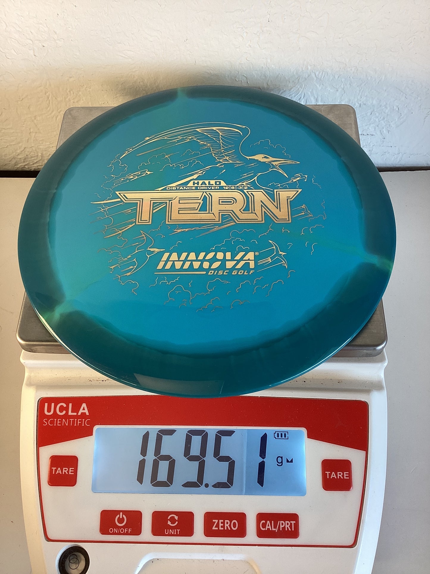 Innova Halo Star Tern
