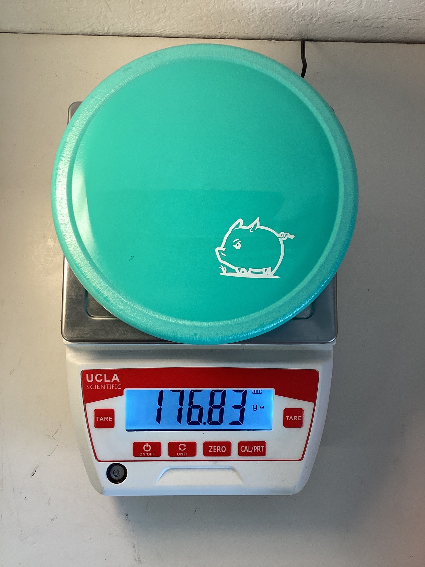 Innova Star Pig