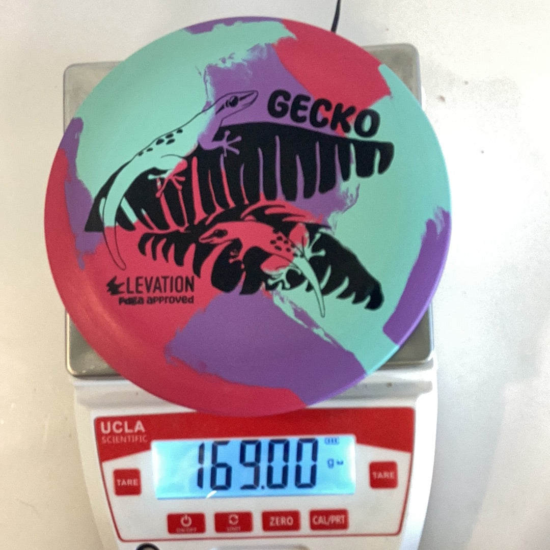 Elevation ecoFLEX Gecko