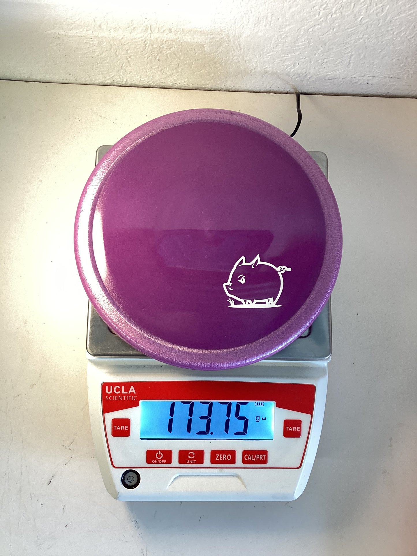 Innova Star Pig