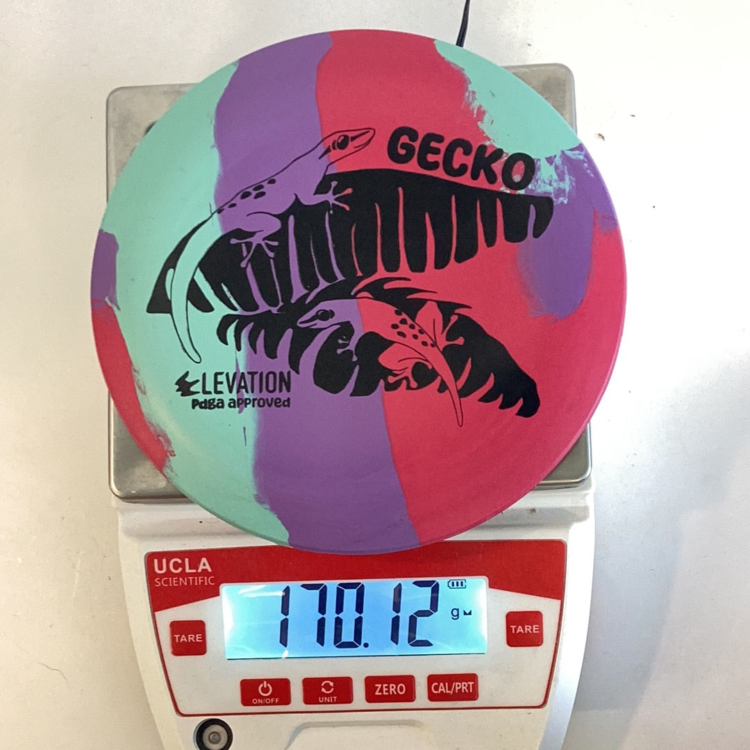 Elevation ecoFLEX Gecko