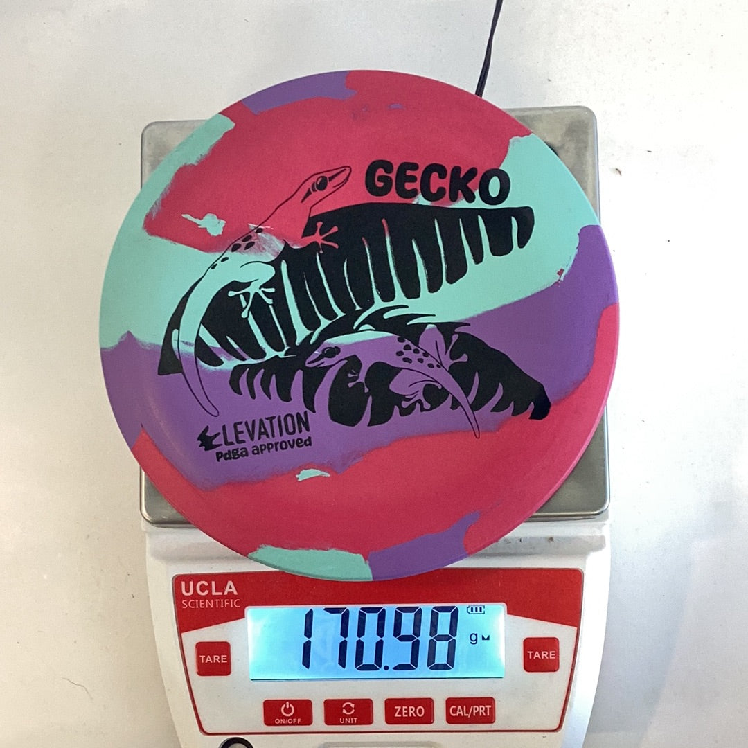 Elevation ecoFLEX Gecko