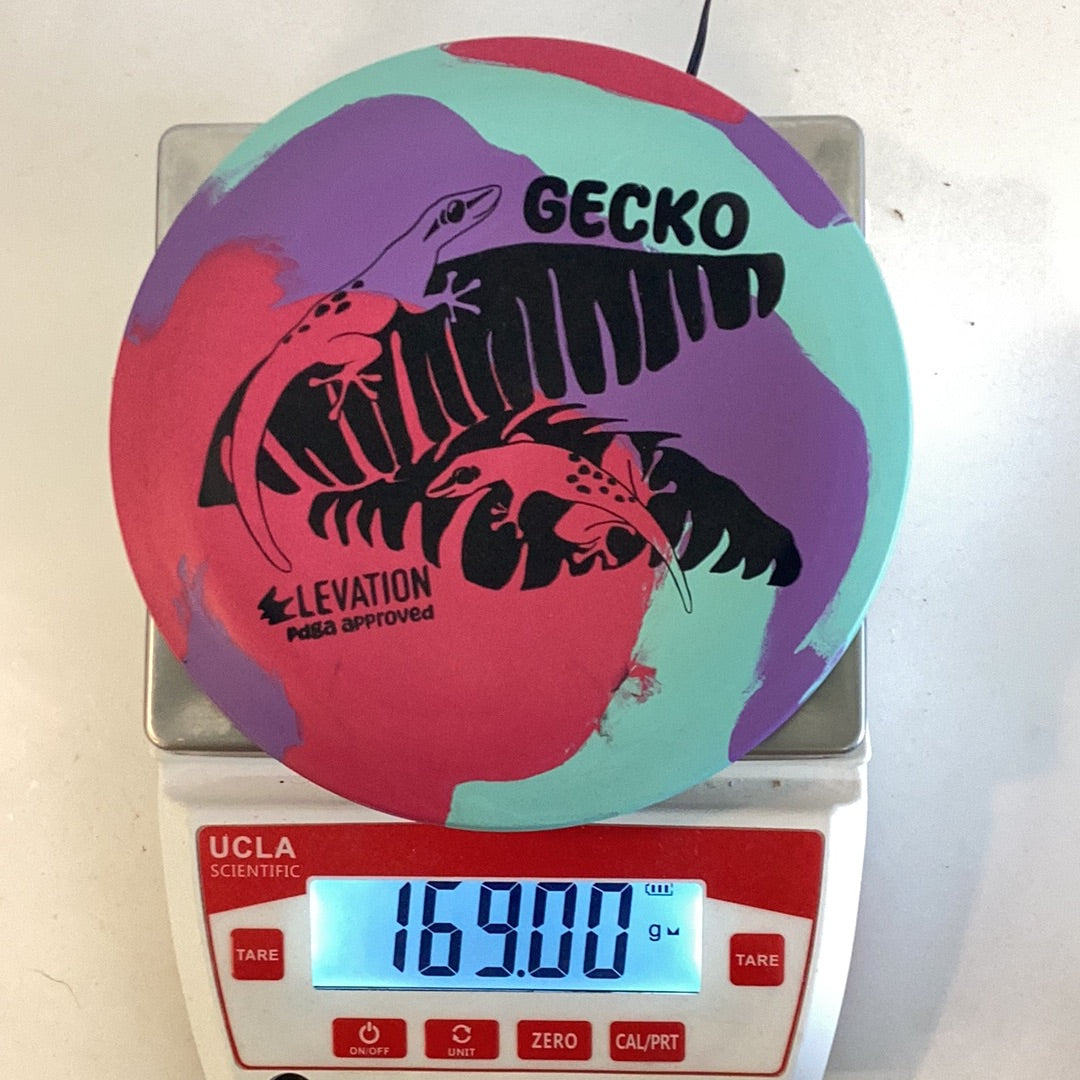 Elevation ecoFLEX Gecko