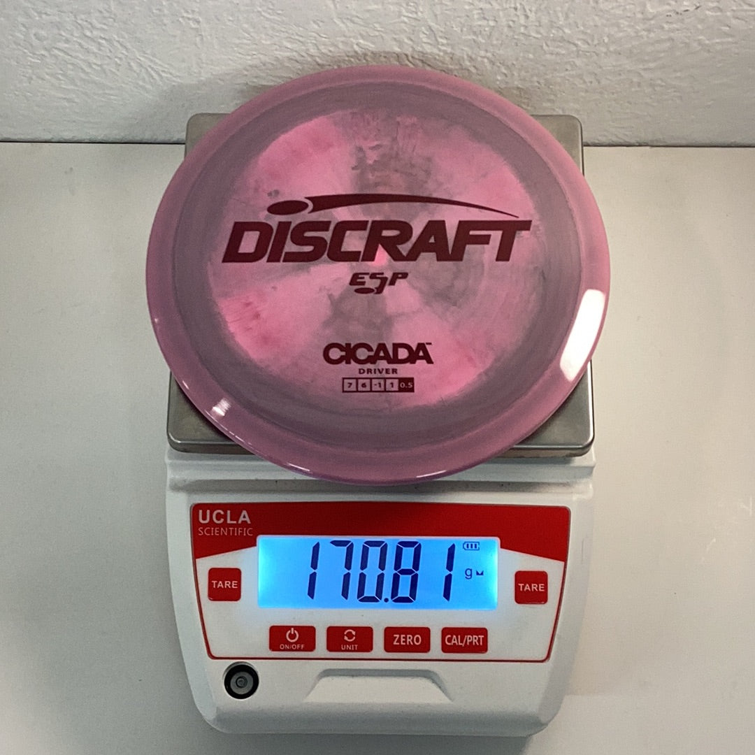 Discraft ESP Cicada