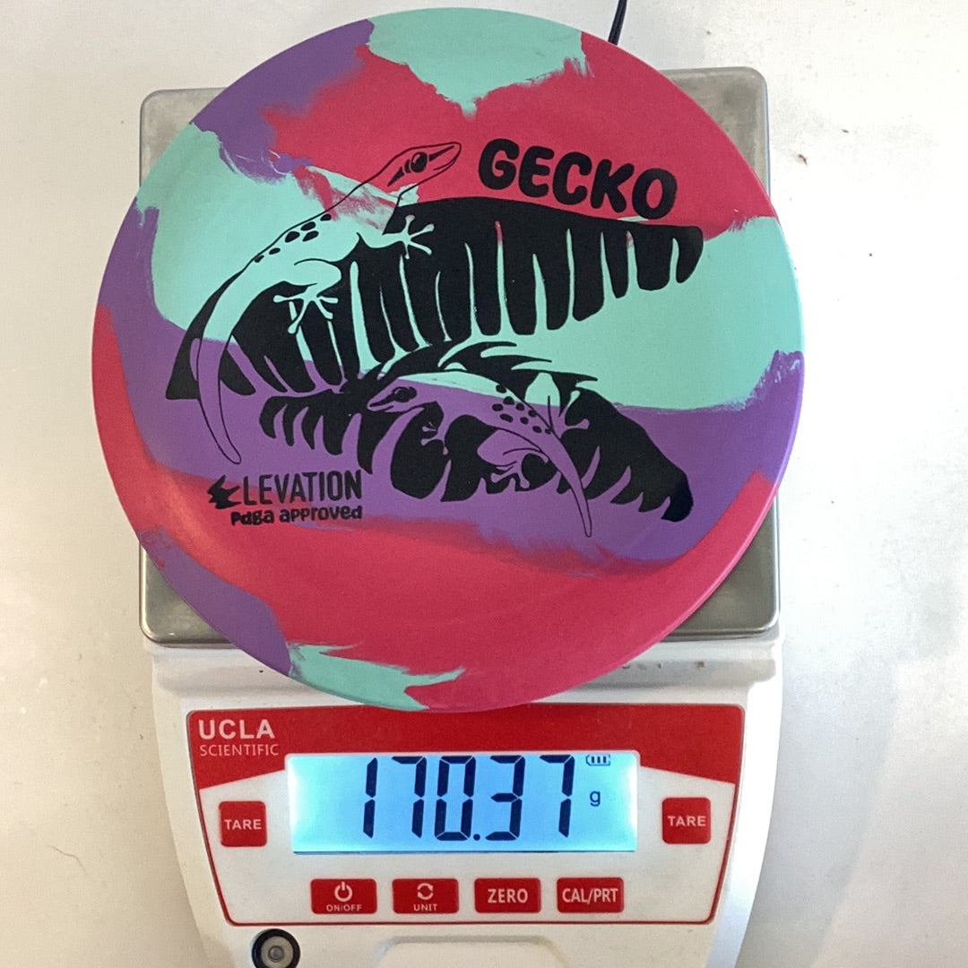 Elevation ecoFLEX Gecko