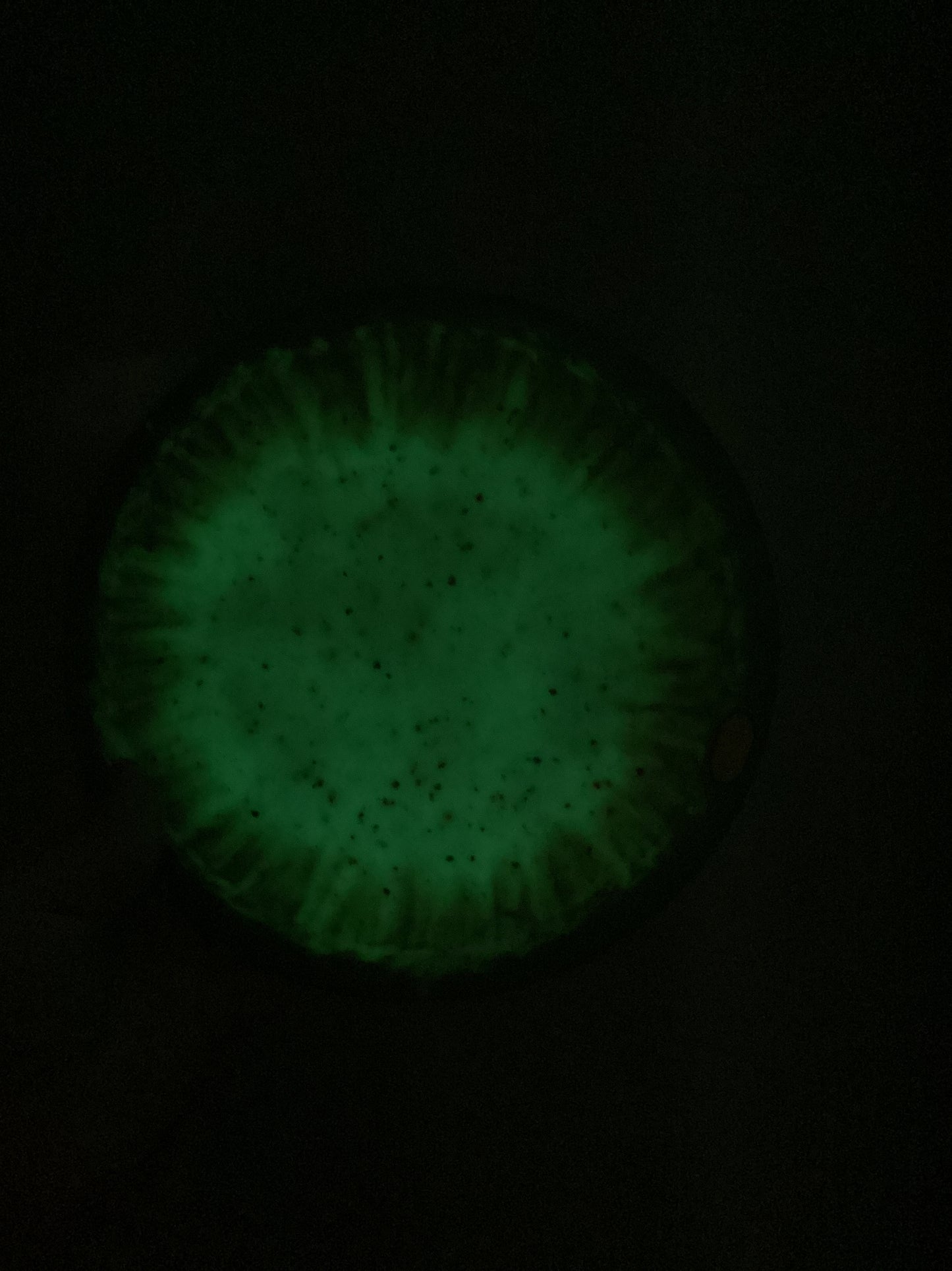 Vibram Vamp Fairway Glow Pre-Owned *Rare*