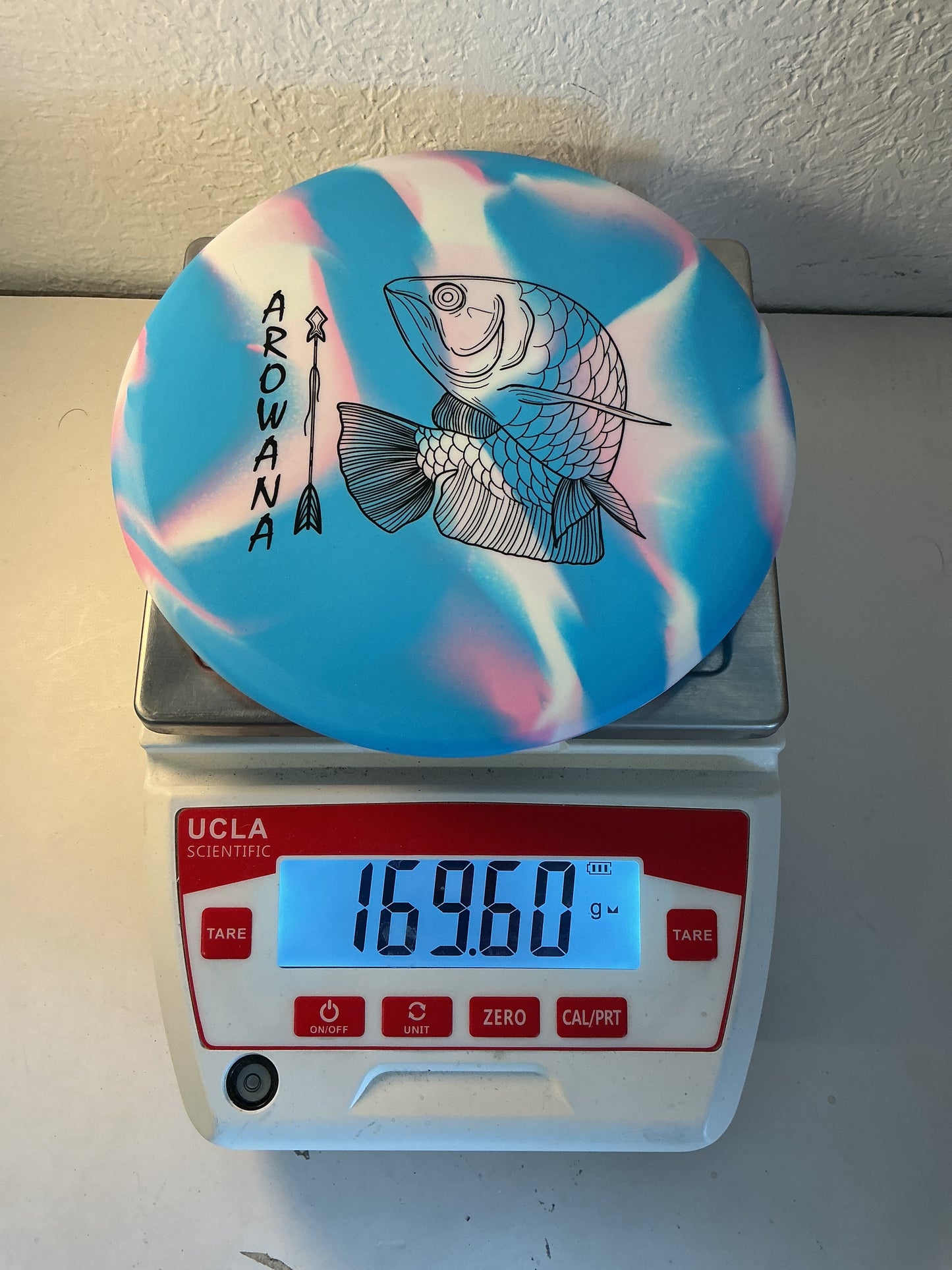 Elevation gLO-G Arowana
