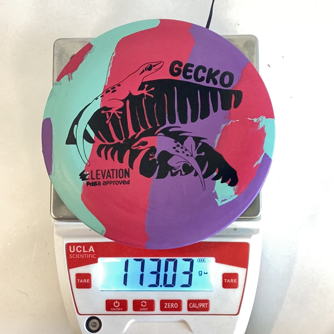 Elevation ecoFLEX Gecko