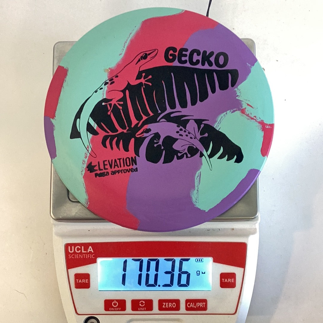 Elevation ecoFLEX Gecko