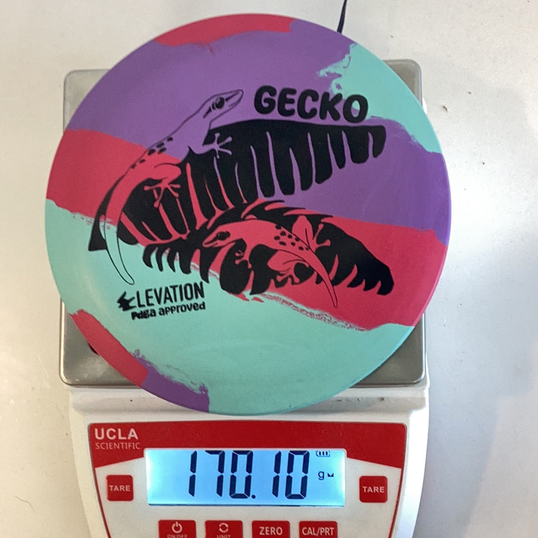 Elevation ecoFLEX Gecko