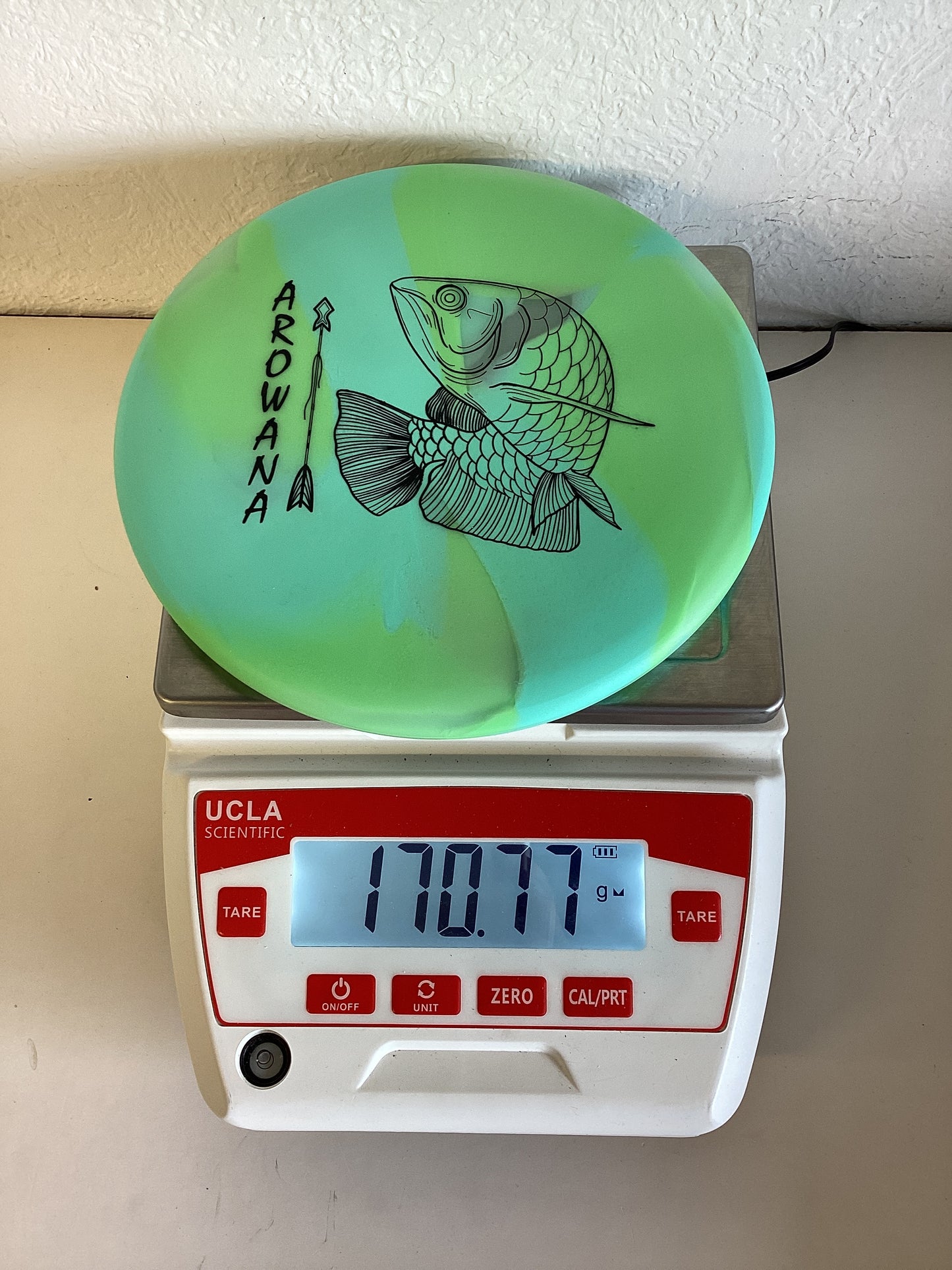Elevation gLO-G Arowana