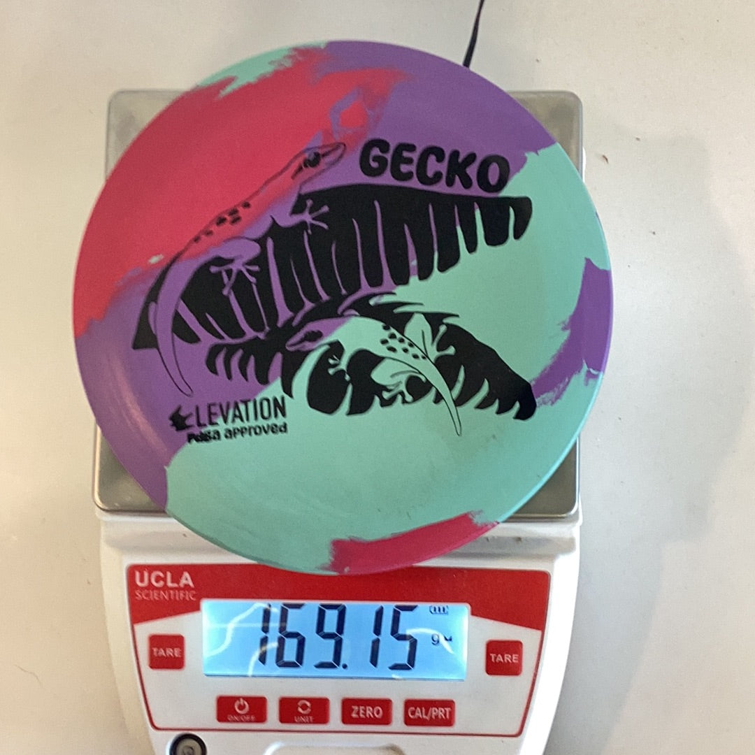 Elevation ecoFLEX Gecko