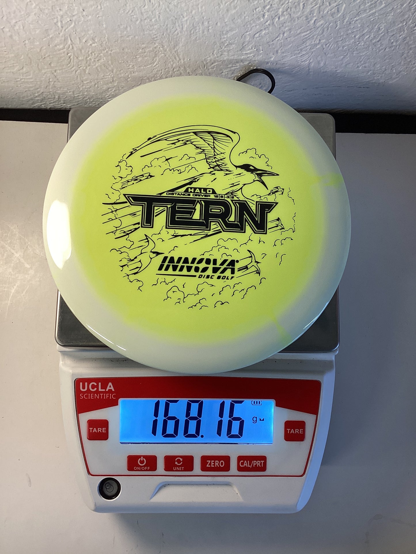 Innova Halo Star Tern