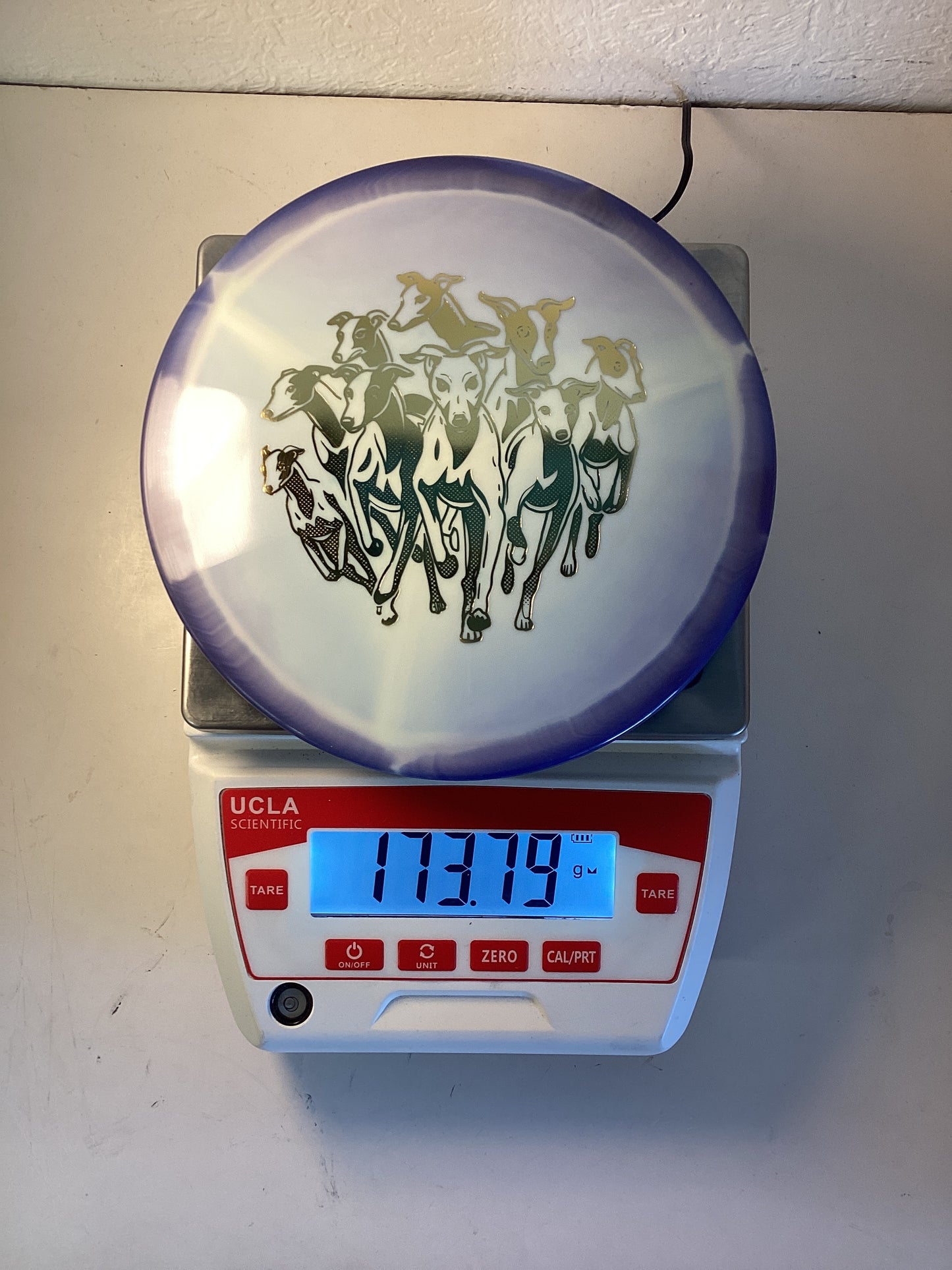 Innova Halo Star Whippet X