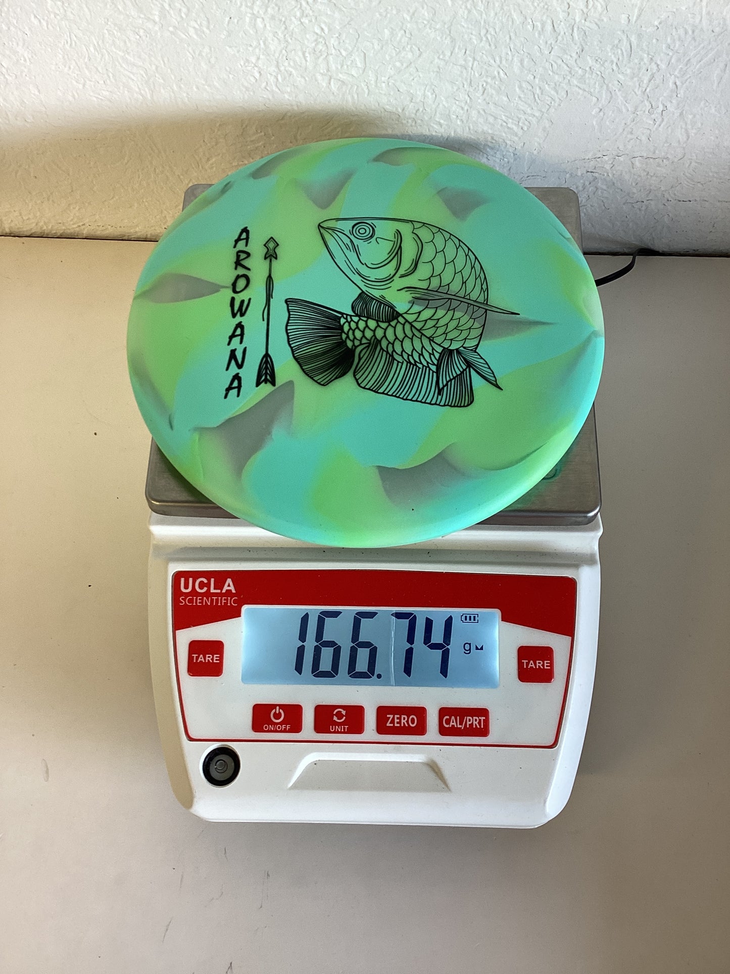 Elevation gLO-G Arowana
