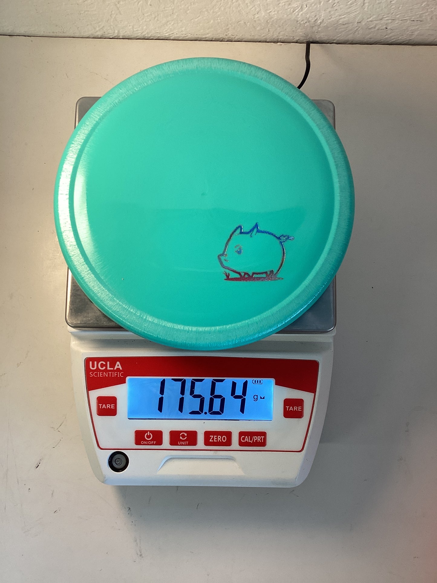 Innova Star Pig