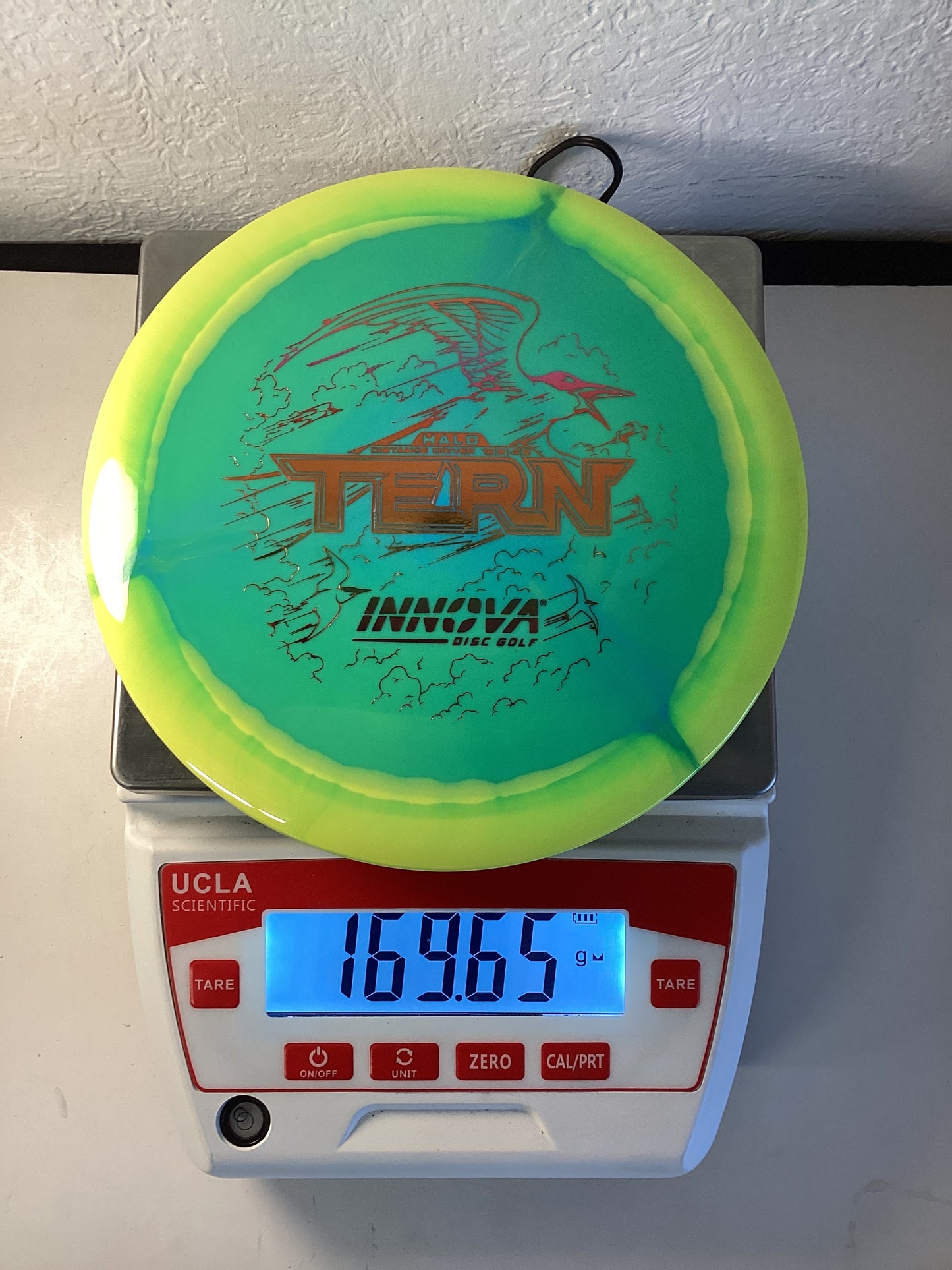 Innova Halo Star Tern
