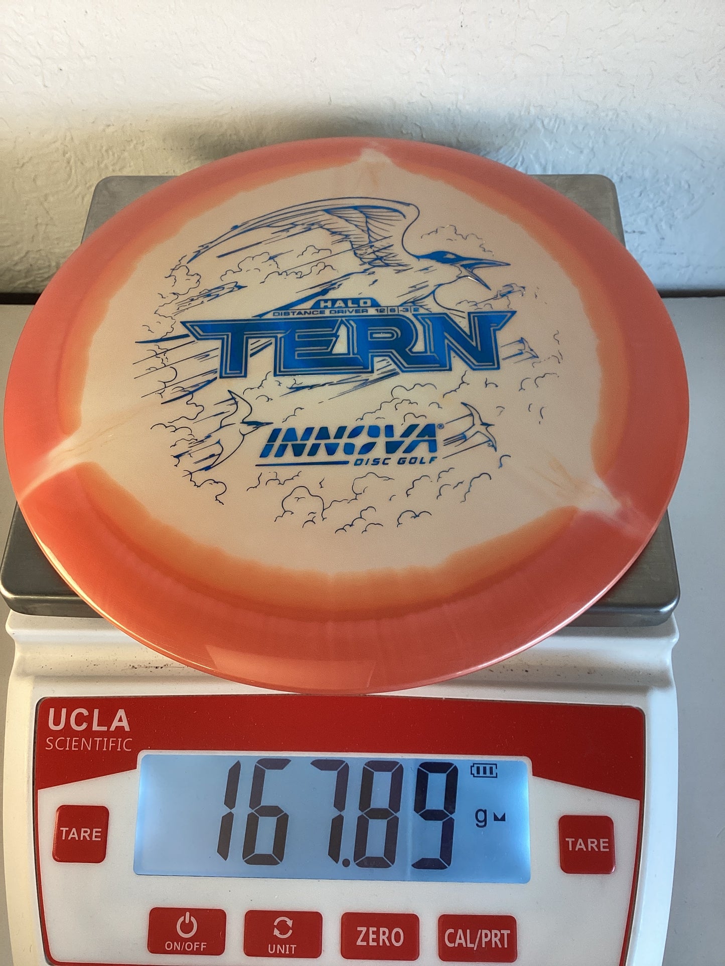 Innova Halo Star Tern