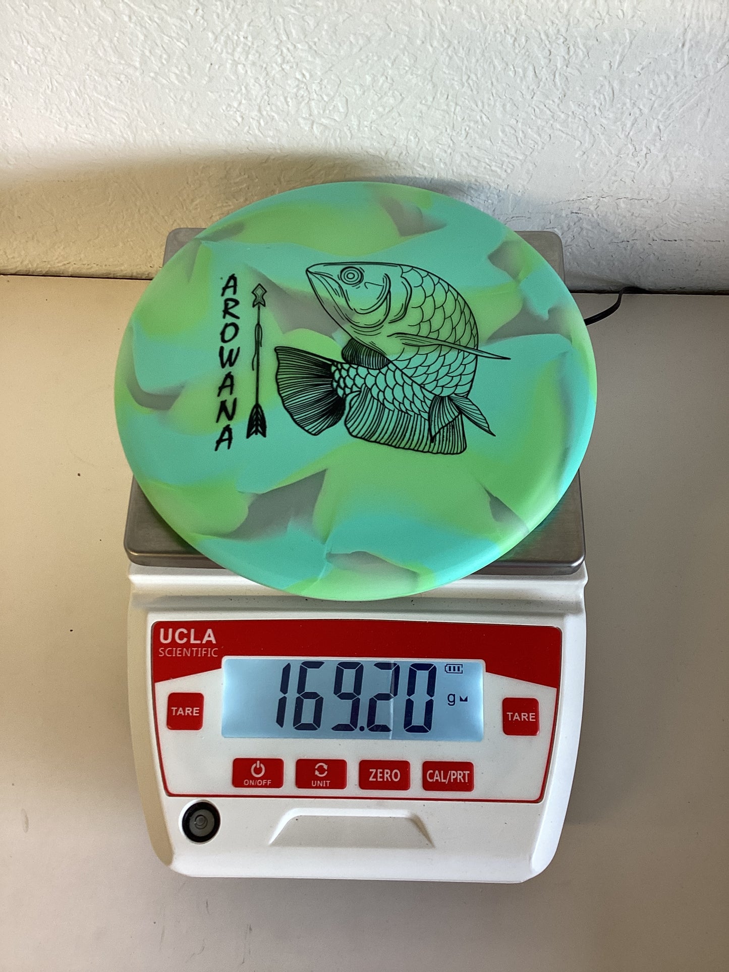Elevation gLO-G Arowana