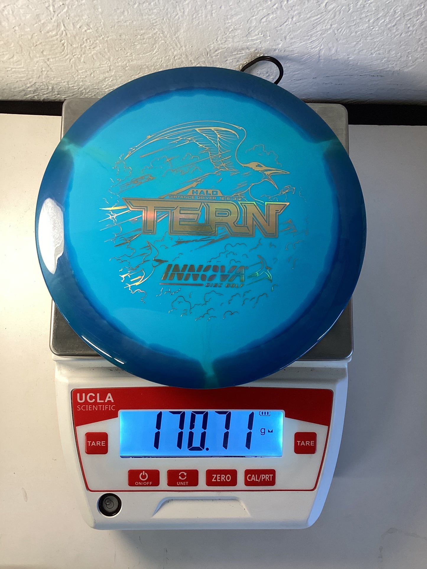 Innova Halo Star Tern