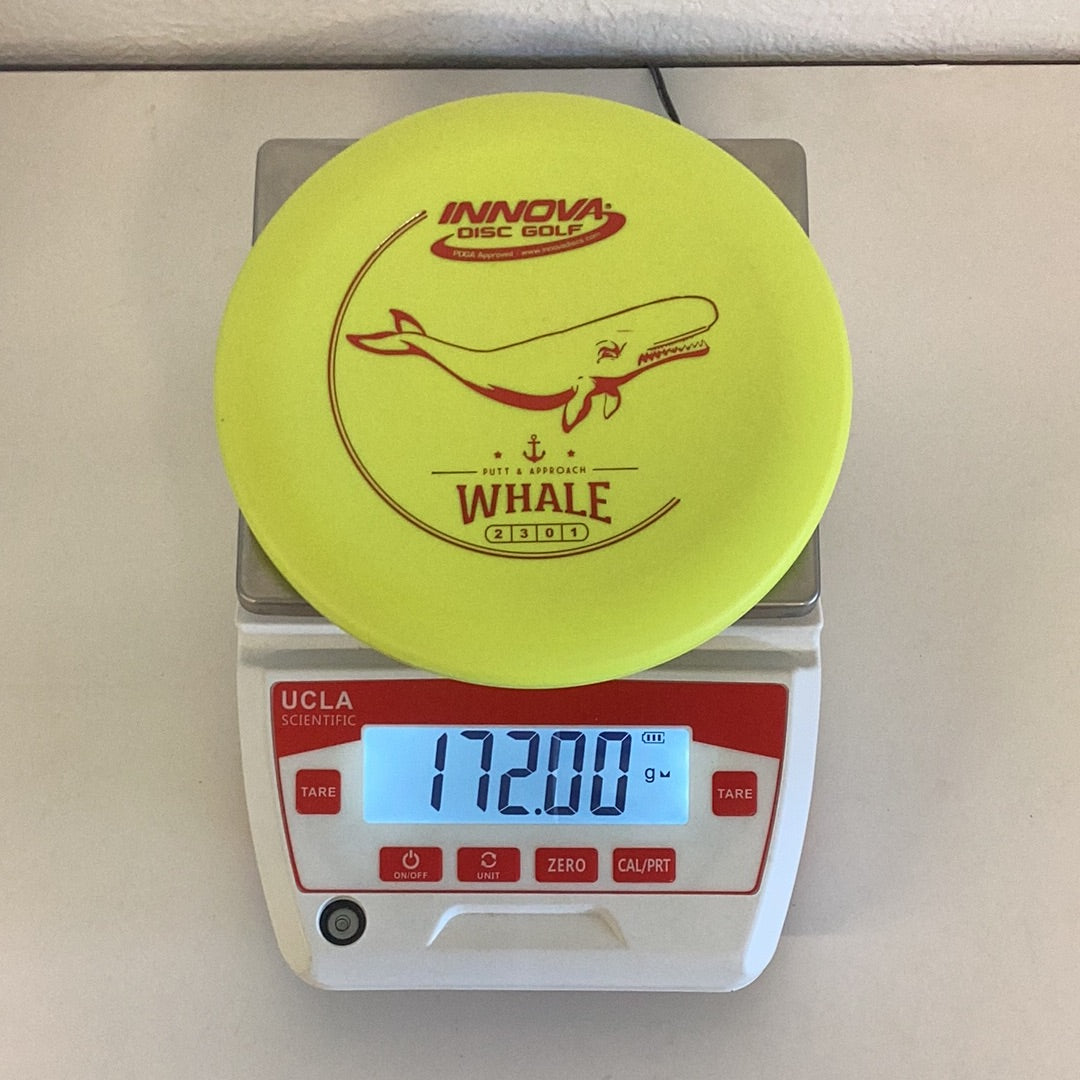 Innova DX Whale