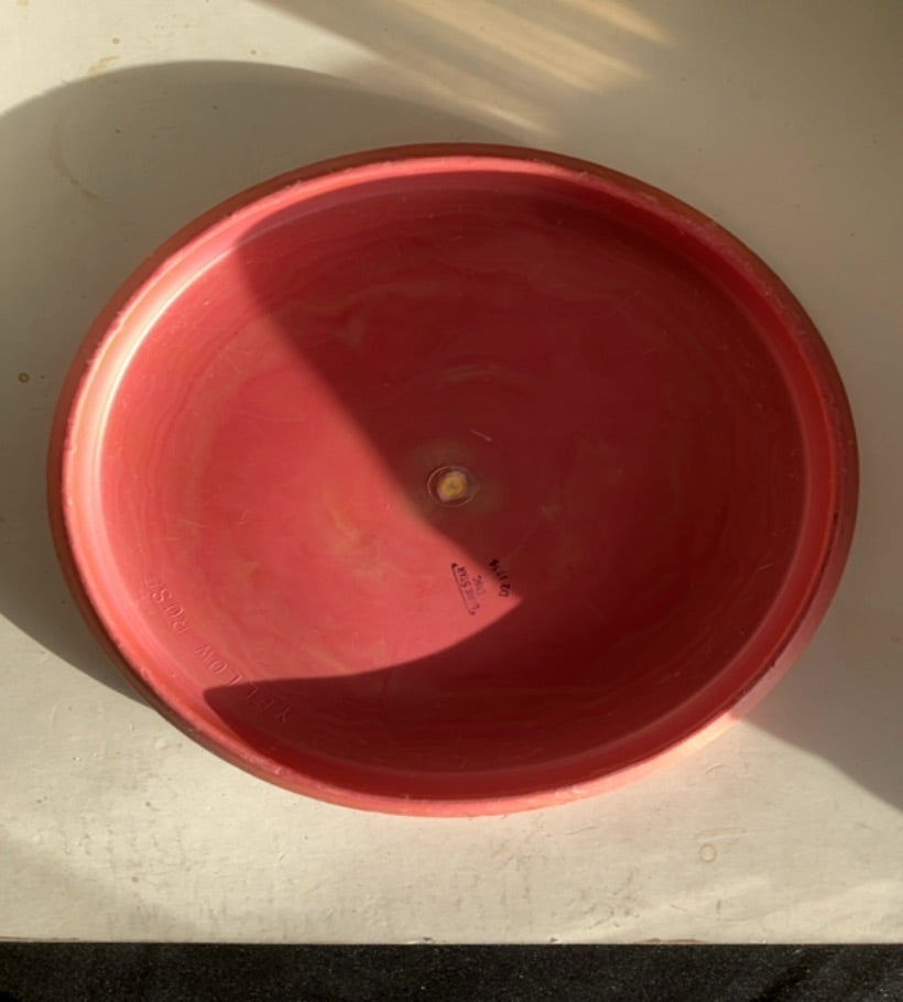 Lone Star-D2-Yellow Rose-Red-173.38g PRE-OWNED