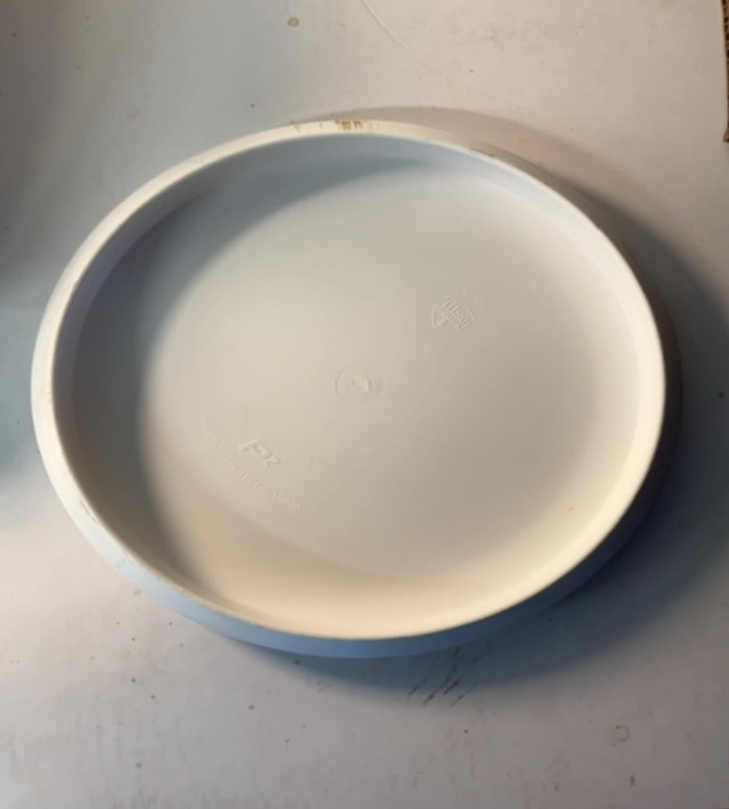 Discmania-P-Line-P2-White-173.97g PRE-OWNED