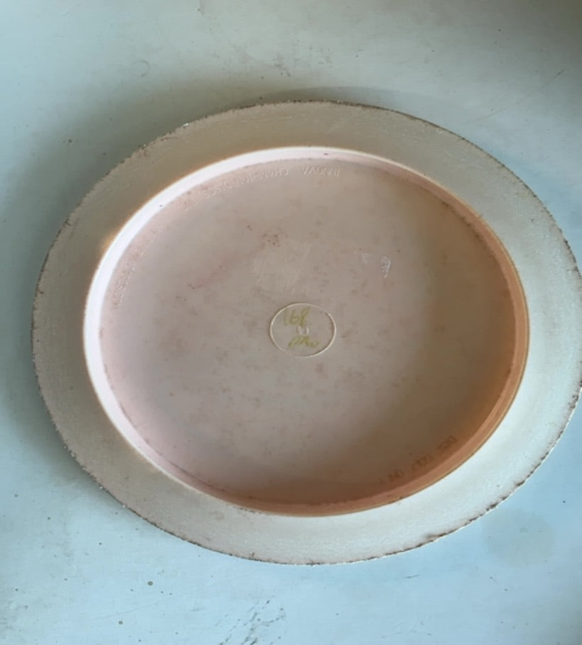 Innova-Pro-Boss-Peach-169.58g PRE-OWNED