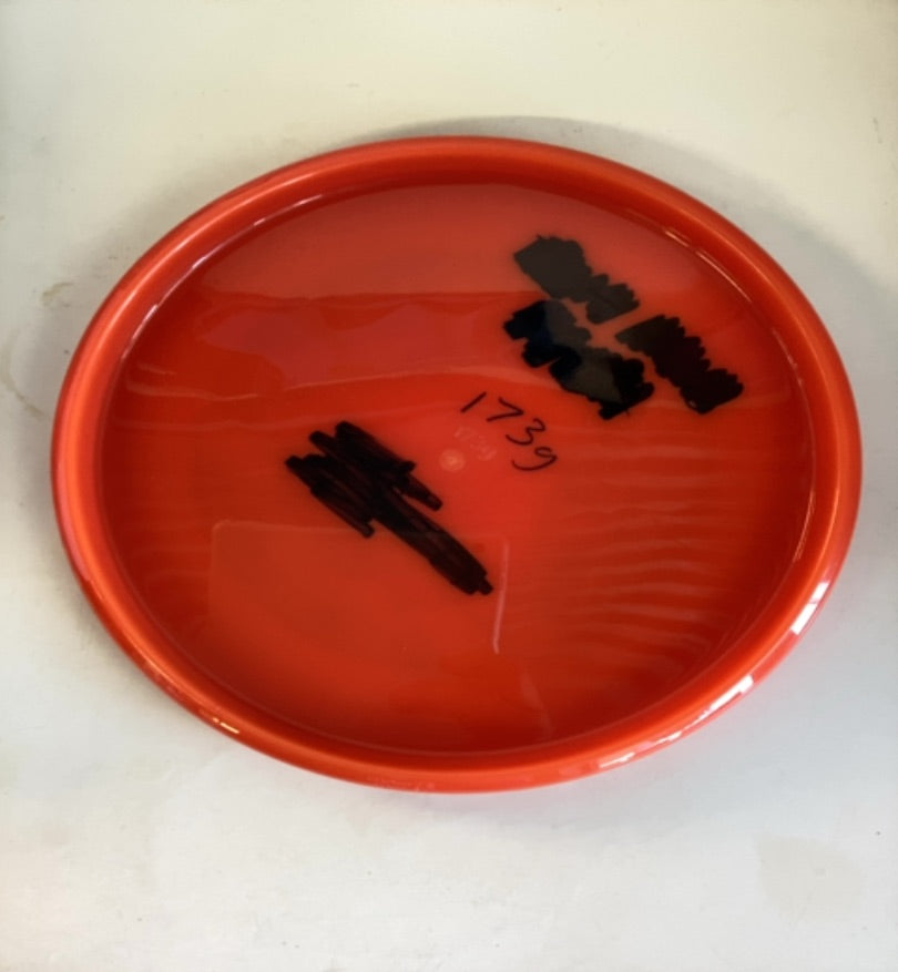 Streamline-Neutron-Range-Red-174.22g PRE-OWNED
