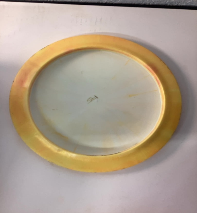 Innova-Halo-Shryke-White-175.32g PRE-OWNED