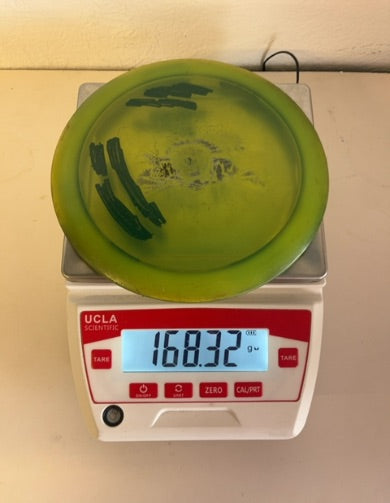 Innova-Champion-Teerex-Green-168.32g PRE-OWNED